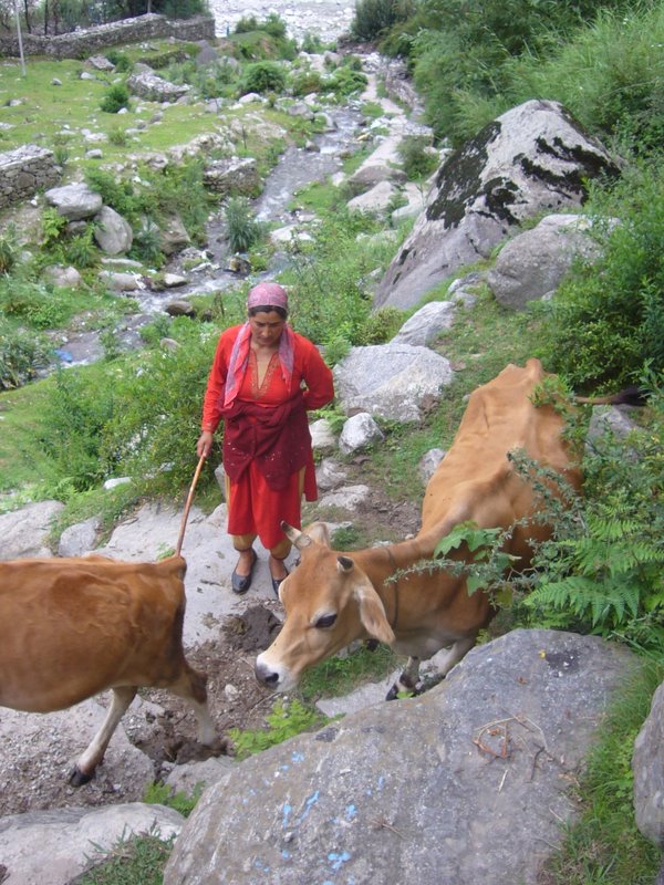 Travel - India - Himachal Pradesh - Manali - Vashisht and Around